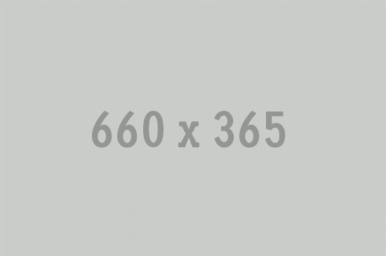 Integer scelerisque vel congue pellentesque